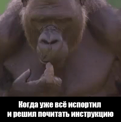 1437651531_786825997.gif