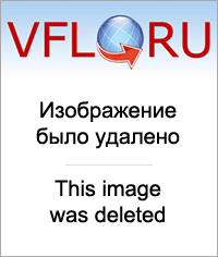 16123134_m.png