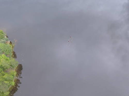 20051834_m.jpg