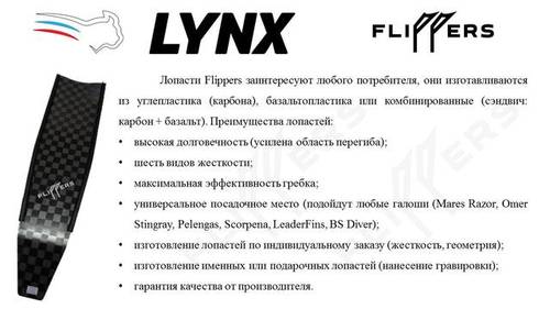 21332127_m.jpg