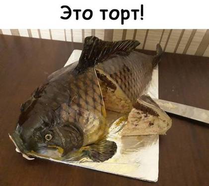 21417592_m.jpg