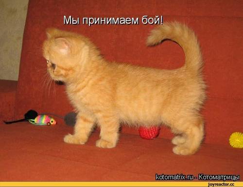 26165550_m.jpg