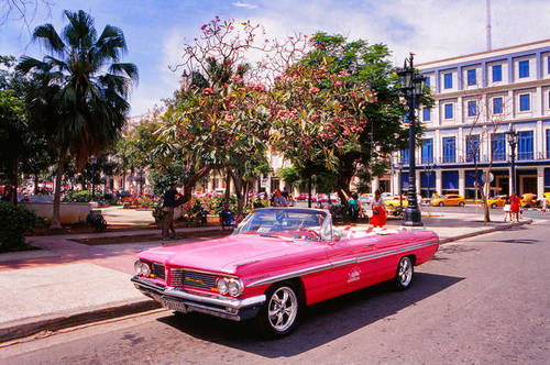 26333144_m.jpg