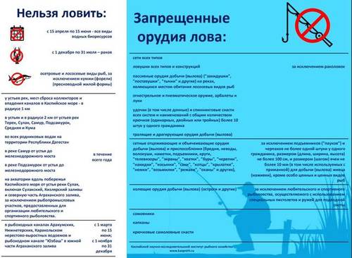 26410704_m.jpg