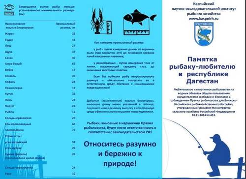 26410703_m.jpg