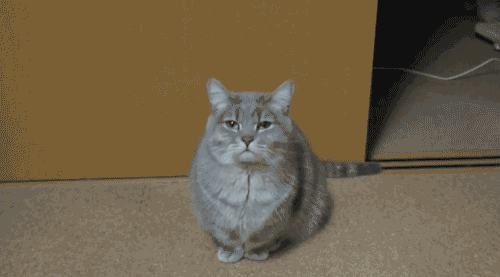 578a957be2886.gif