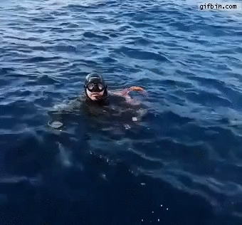 scuba-diver-can-39-t-get-octopus-off-back.gif