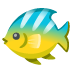 🐠