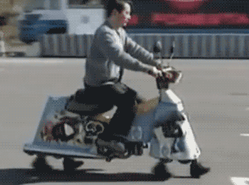 giphy.gif