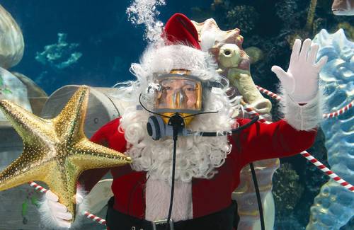 Newport-Aquarium-Scuba-Santa.jpg