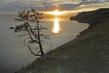 1070009192_image(38).thumb.jpg.05d57588e45e98b722a4c102fcd49127.jpg