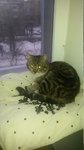 20170218_150824.thumb.jpg.ab28a6320f0e1f3bc70e01583f4f123d.jpg