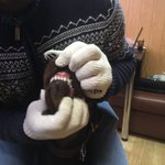 27459569_1572586216143914_8028111144150342688_n.thumb.jpg.4b0f0217d7432a9e28ef2d89c3b4dc1b.jpg
