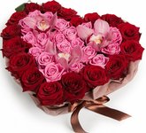 9c2541cea486fddedb6fdcc399f72eb2.thumb.jpg.dbbcbdb88656bb50c3f10b82092b7da6.jpg