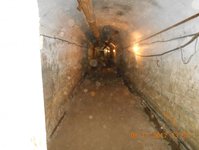 DSCN0811.thumb.jpg.419b1a43e6606c0ce40ef80c28cf8bed.jpg