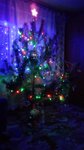 IMG_20161231_164803.thumb.jpg.bf7c019210a754ed5e276dbb148ec749.jpg