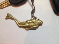 IMG_6433.thumb.jpg.afda7a274357cc6561c1098a2f1d71eb.jpg