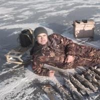 Бизон