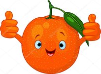 depositphotos_9011387-stock-illustration-cheerful-cartoon-orange-character.thumb.jpg.03d45b7c509cd653e0c96a9a0f48c0c5.jpg