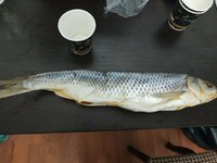 IMG-20190608-WA0009.jpg