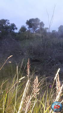 IMG-20190722-WA0028.jpeg