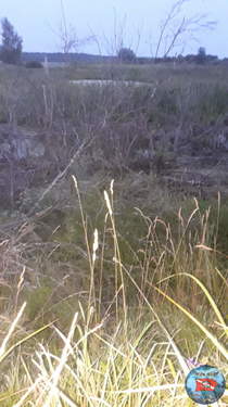IMG-20190722-WA0031.jpeg