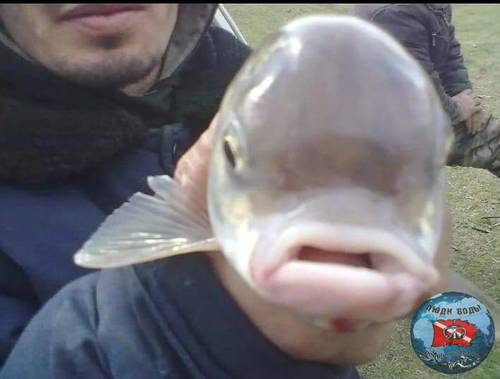 pYhcZg8rnc0.jpg