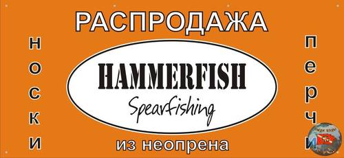 Hammerfish6.jpg