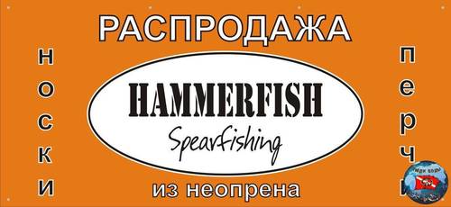 Hammerfish6.jpg.670dbb73cd4de9c447058bb50ea27c67.jpg
