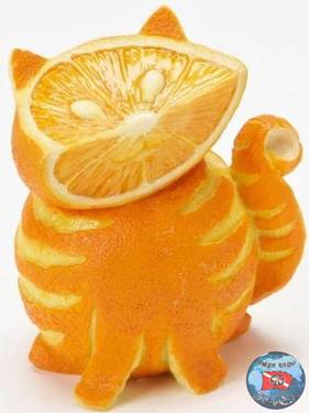 7ba4c39db82aee4d14707cb1a97931de--citrus-fruits-image.jpg