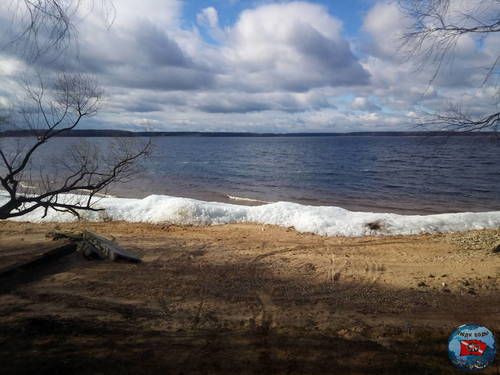 P_20200320_104900_LL.jpg