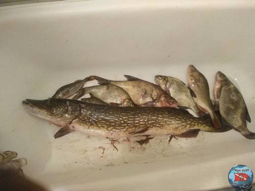IMG_20200830_111638.jpg