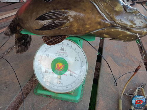 IMG20201114130315.jpg