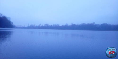 IMG_20201128_154343_6.jpg