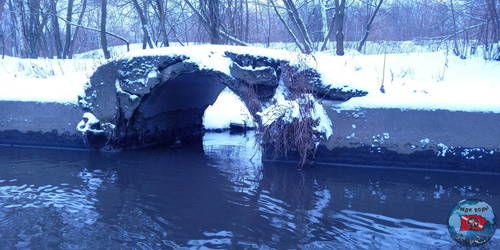 IMG_20201226_144127_6.jpg