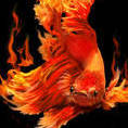 Firefish