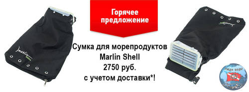 592125723_shell1.thumb.jpg.761418711ba57f33977b2f4e09e3e2fd.jpg