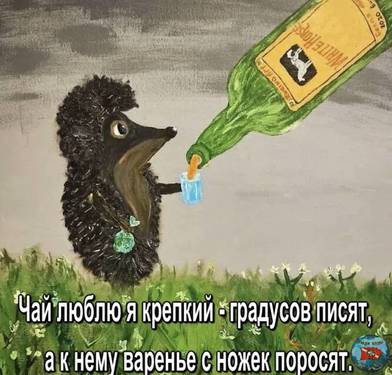 D1BB23ED-817E-4935-9686-4CA7DCB9F952.jpeg
