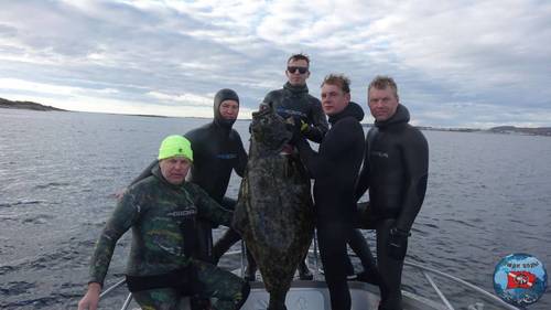 lm6QmbNZ9Kg.jpg