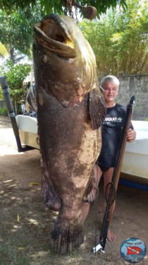 image.thumb.png.8795f992c5d7feedba0d43b3ac011f1c.png