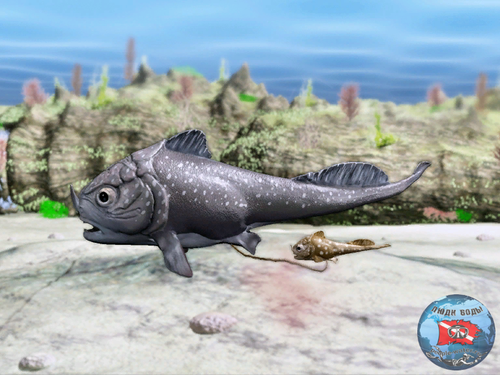 image.thumb.png.8c8ed1702006a37c8c0ad9fba00956e9.png