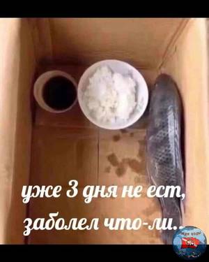 87BE731B-6459-4CDD-9815-03622B48FDFA.thumb.jpeg.0191023bcf5e3ec3099c7ccb12d6fdfc.jpeg