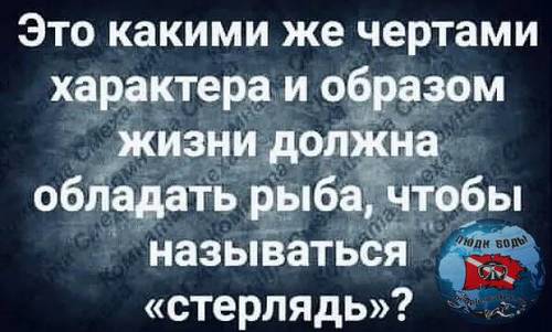 CD3C12AD-97D7-4564-A6DF-839ACF9223CC.thumb.jpeg.a9e33402d5c142e8b6978bf496e129a5.jpeg