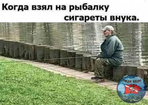 zpt5AxDMHhk.jpg
