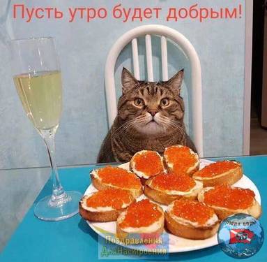 IMG-20221224-WA0004.jpg