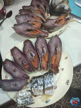 IMG-20230228-WA0000.jpg