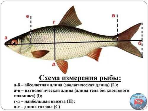 slide-7.jpg