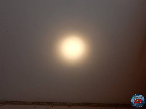 IMG_20230309_112417.jpg