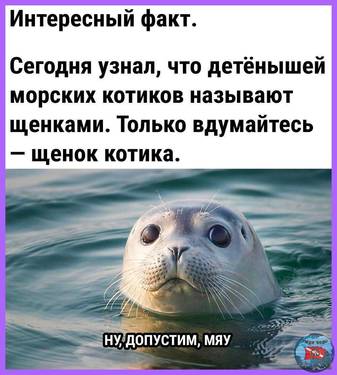 7052AB5E-BB05-4537-AC23-8CEADD4DD057.jpeg