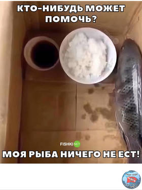 F805D8FB-7CEB-4613-9184-813672532106.thumb.jpeg.a9d4e5518842f275cc2927da744ae073.jpeg